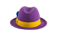 Ferrecci Brooks Soft 100% Australian Wool Felt Body with Removable Feather purple hat Great for Travel