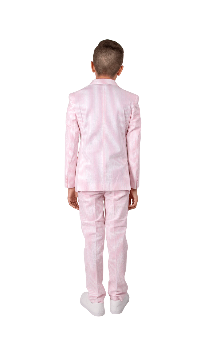 Ferrecci Boys Seersucker 2pc Suit Set Pink - Back