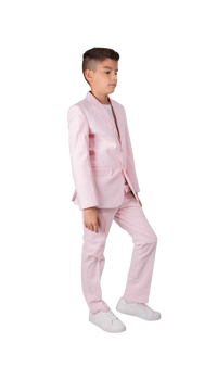 Ferrecci Boys Seersucker 2pc Suit Set Pink - Right Side