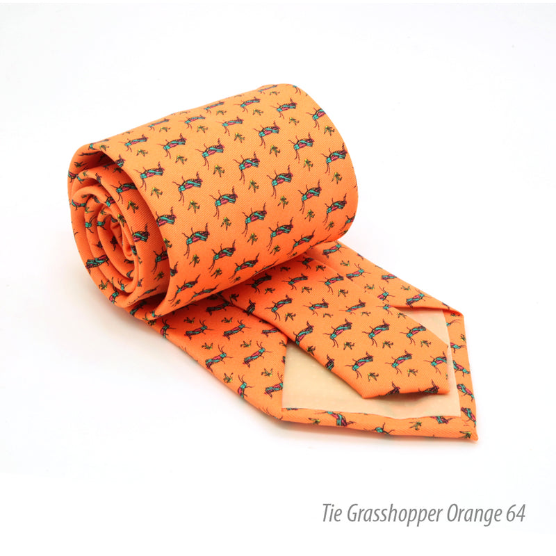 Grasshopper Orange Necktie with Handkerchief Set - FHYINC best men's suits, tuxedos, formal men's wear wholesale